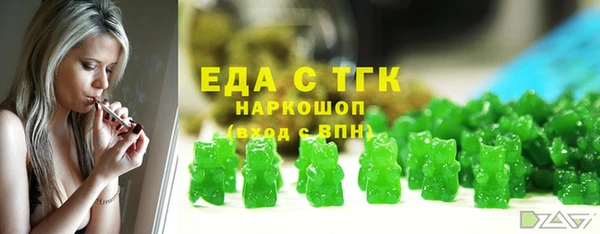 амф Ельня