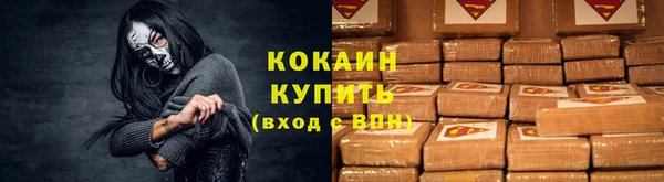 ПСИЛОЦИБИНОВЫЕ ГРИБЫ Инсар