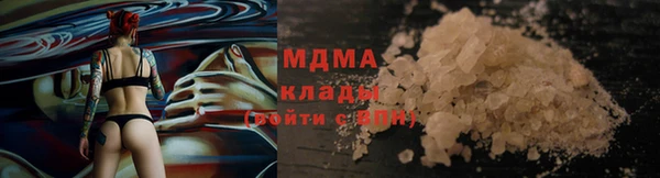 амф Ельня