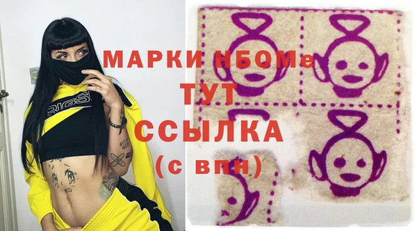 амф Ельня