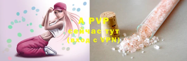 прущие грибы Инта