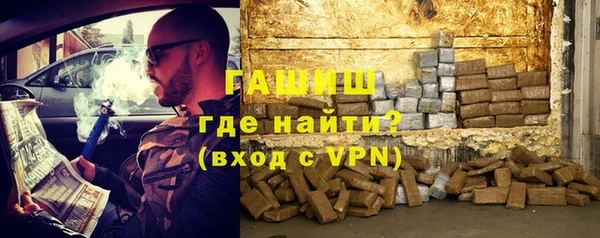 амф Ельня