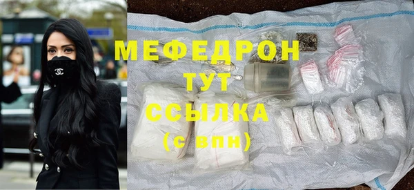 амф Ельня