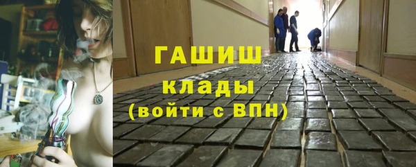 прущие грибы Инта